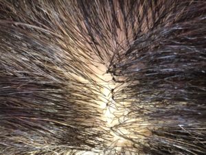 77EA9B8E-B919-4386-A3B6-D0C5FE9109F6