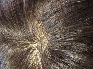 9B48DCD1-3C0E-4344-8EDB-279D5A81532D